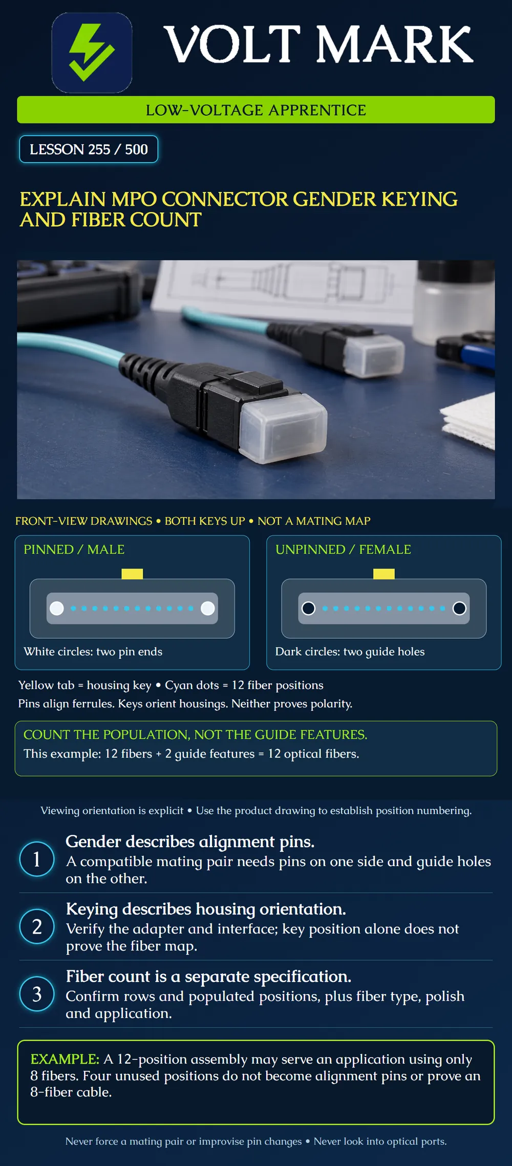 Explain MPO connector gender keying and fiber count
