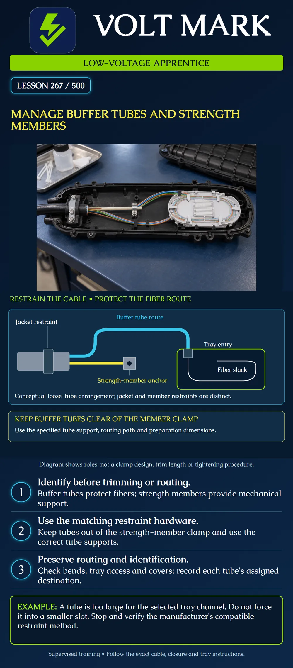 Manage buffer tubes and strength members